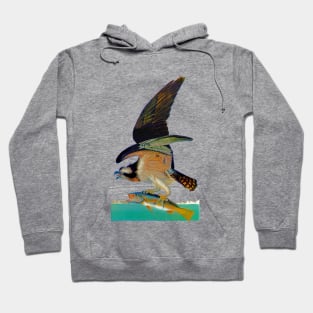 John J. Audubons Fishing eagle Hoodie